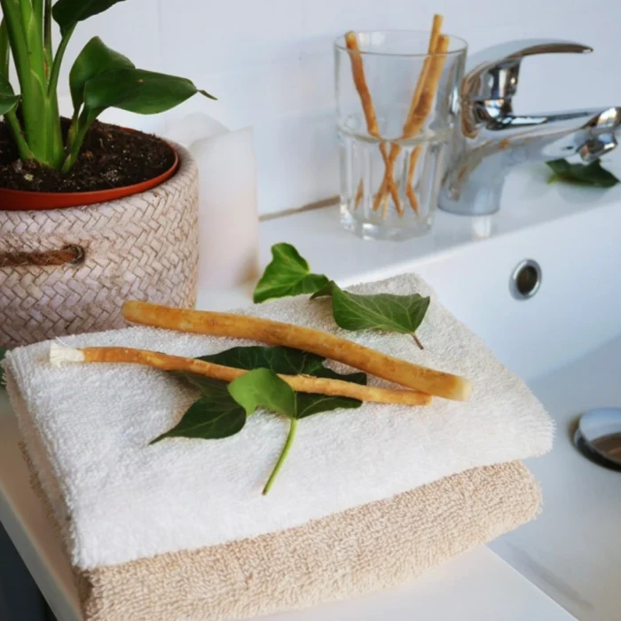 SIWAK NATUREL - HYGIÈNE DENTAIRE TRADITIONNELLE – Image 3
