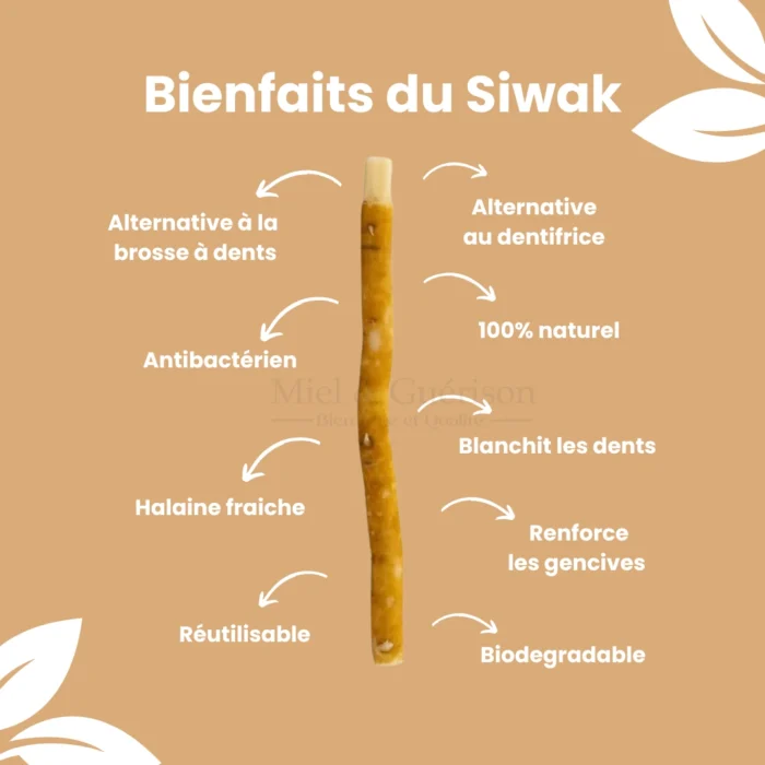 SIWAK NATUREL - HYGIÈNE DENTAIRE TRADITIONNELLE – Image 9
