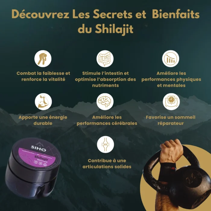 SHILAJIT DE L’HIMALAYA PUR – Image 3