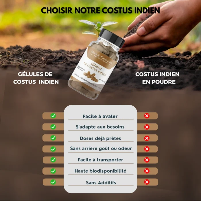 GÉLULES DE COSTUS INDIEN-60 GÉLULES - Image 3