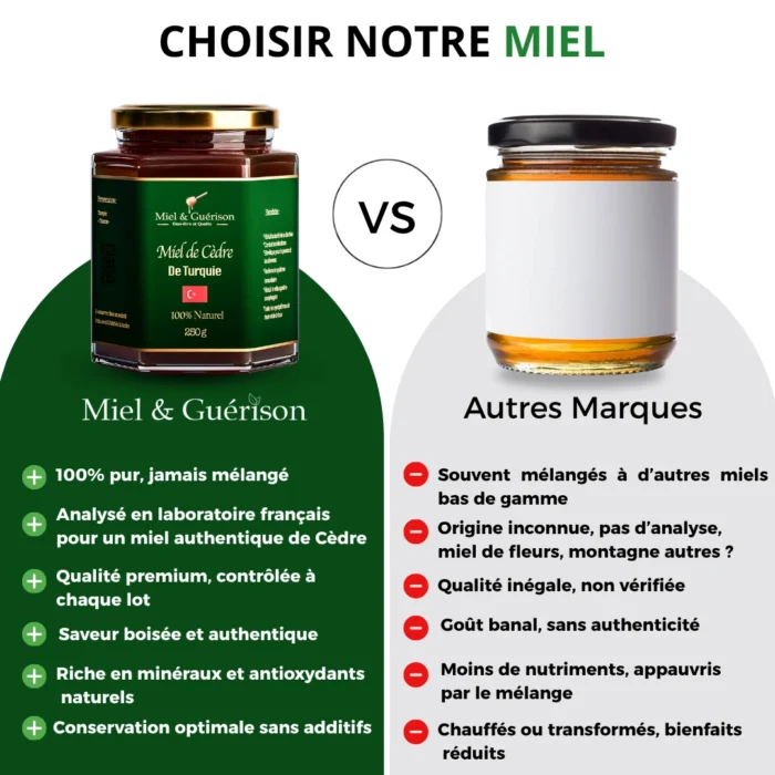 MIEL DE CÈDRE DE TURQUIE – Image 3