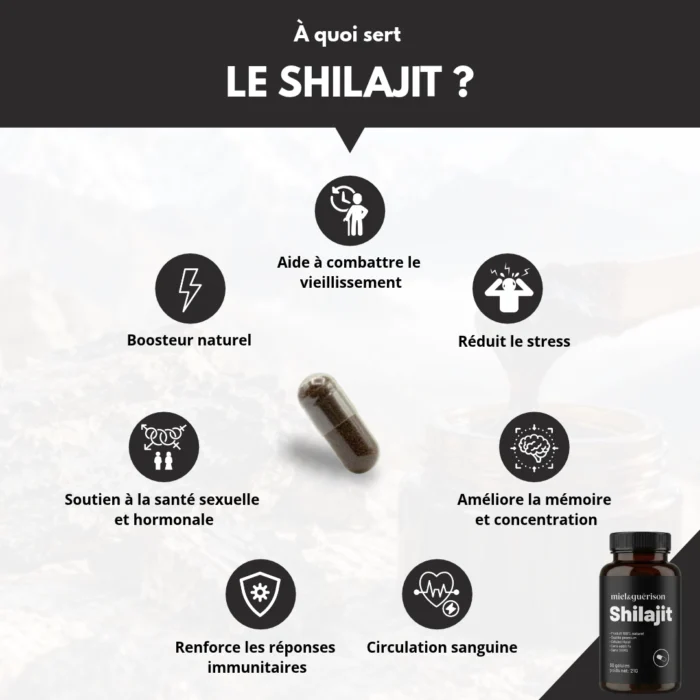 GÉLULES DE SHILAJIT PURE DE L'HIMALAYA- 60 GÉLULES
