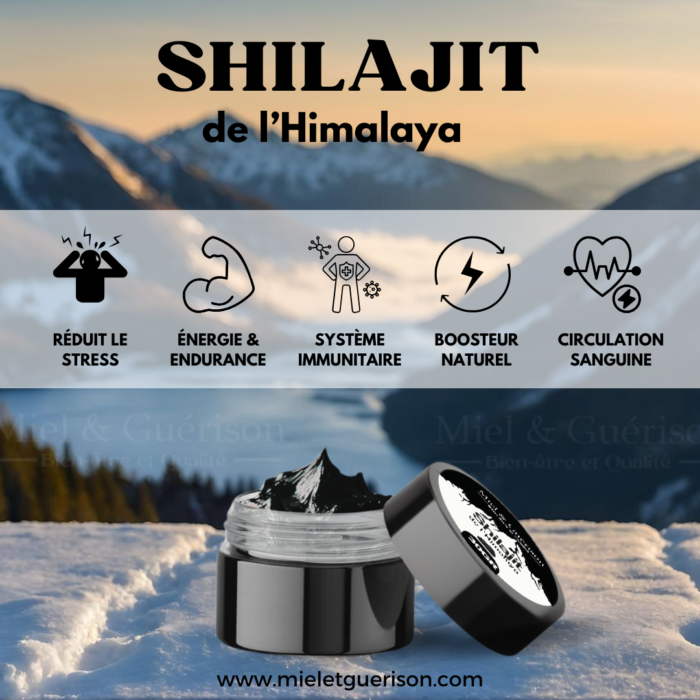 SHILAJIT DE L’HIMALAYA PUR-30GR