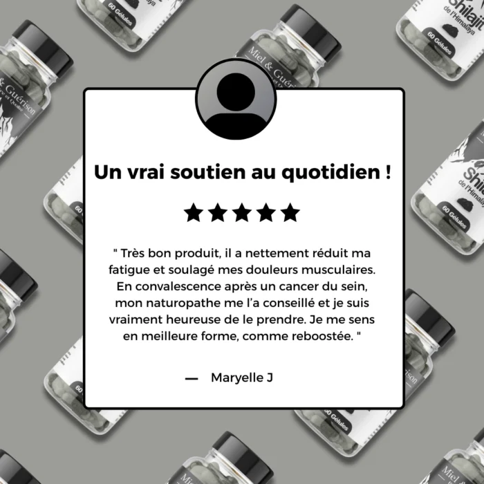GÉLULES DE SHILAJIT PURE DE L'HIMALAYA- 60 GÉLULES – Image 5