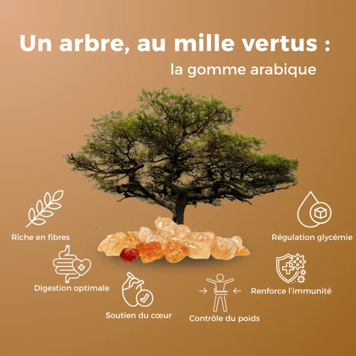GOMME ARABIQUE DU SOUDAN - 100G – Image 4