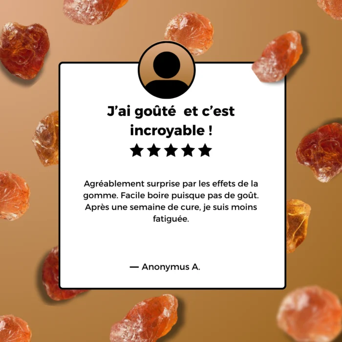 GOMME ARABIQUE DU SOUDAN - 100G – Image 5