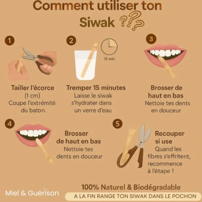 SIWAK NATUREL - HYGIÈNE DENTAIRE TRADITIONNELLE – Image 4