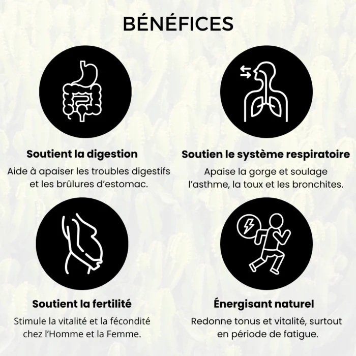 MIEL D'EUPHORBE  DU MAROC