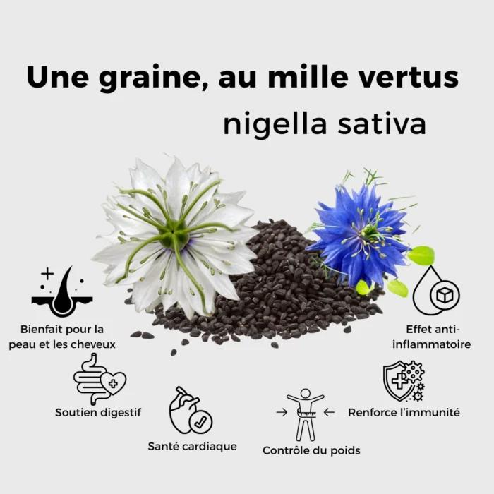 GRAINE DE NIGELLE (ETHIOPIE) -100G